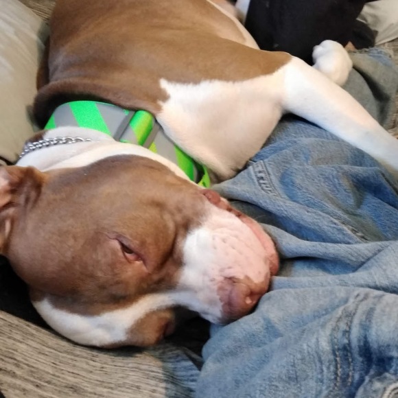 Meet your Posher, Chad - Picture 1 of 1